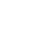 NewTechWood Logo